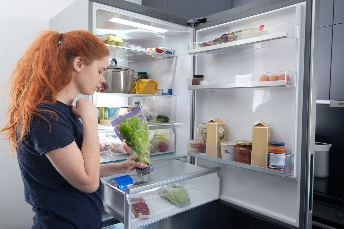 7 Signs Your Fridge is Dying