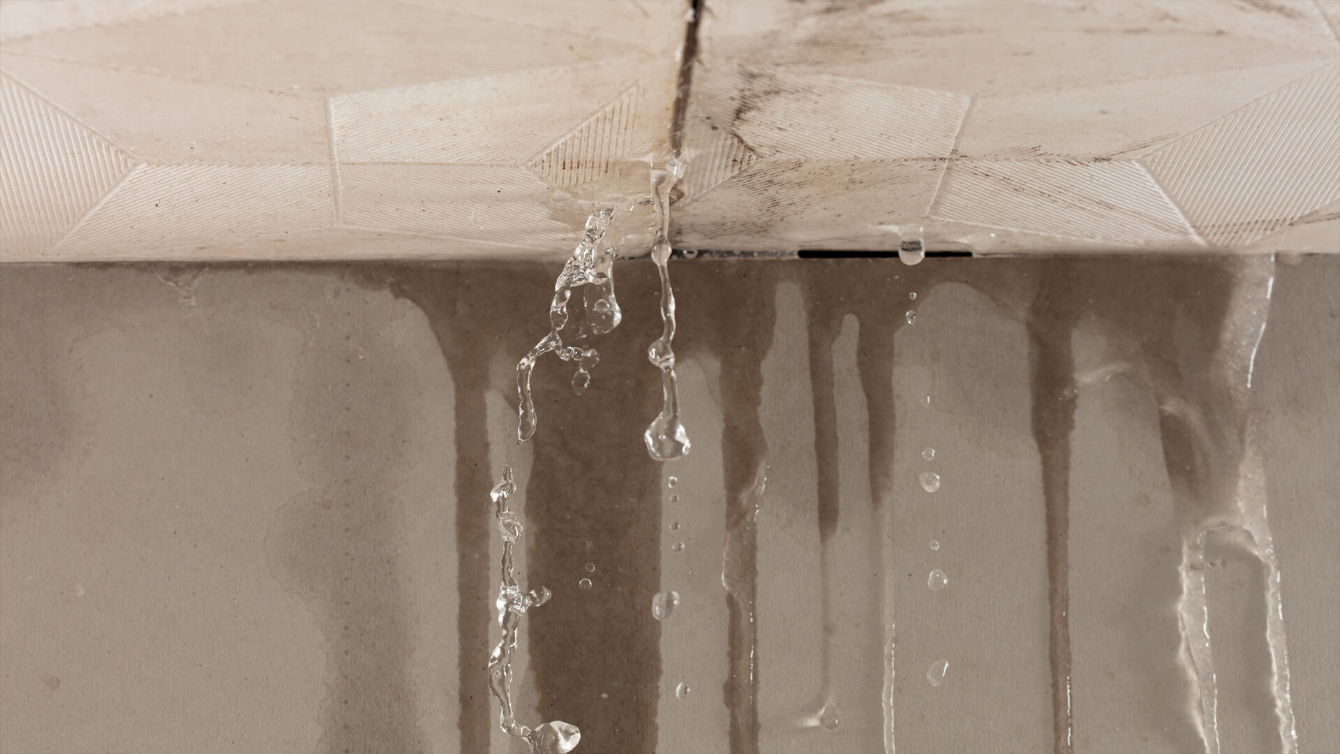 Highett homes and hidden leaks